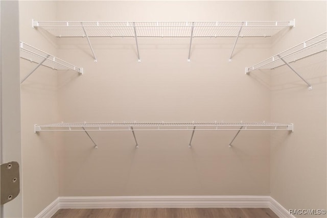 9262 N Alpinia Dr, Citrus Springs, FL 34434 - walk in closet with wood finished floors