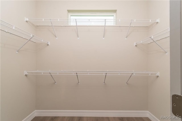 9262 N Alpinia Dr, Citrus Springs, FL 34434 - walk in closet featuring wood finished floors