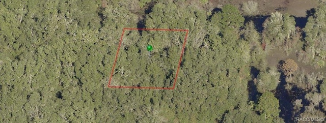 8150 Elaine St, Crystal River FL, 34428 land for sale