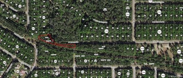 9060 N Pewter Ave, Citrus Springs FL, 34434 land for sale