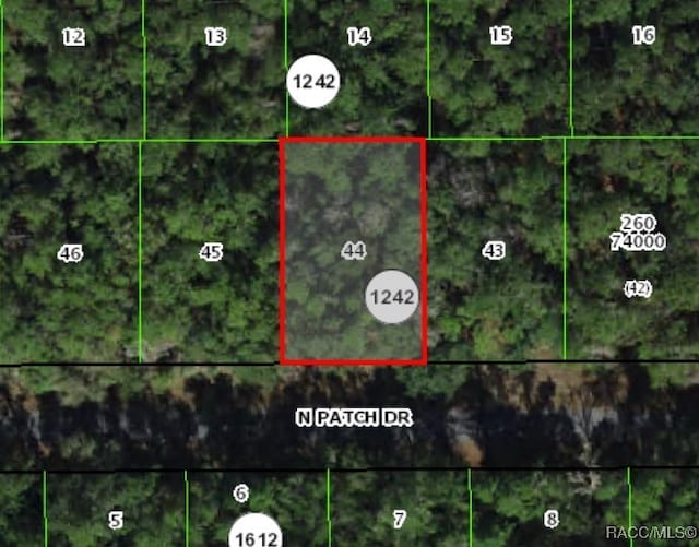 9243 N Patch Dr, Citrus Springs FL, 34434 land for sale