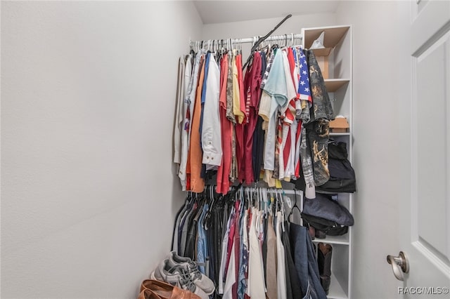 view of spacious closet