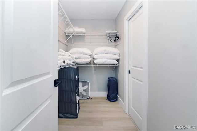 spacious closet featuring wood finished floors