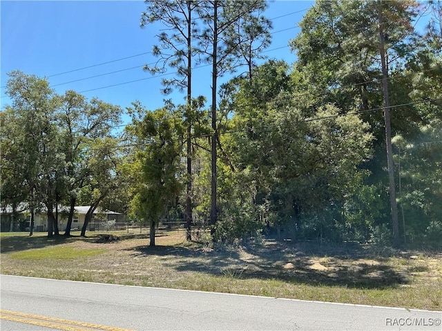 9784 N Country Club Way, Citrus Springs, FL 34434