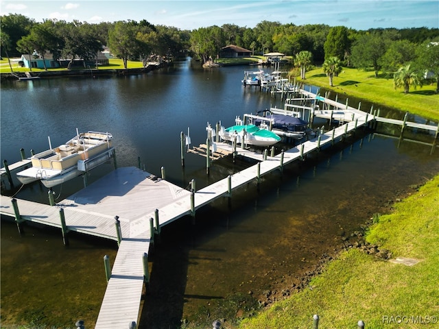 dock area with a water view