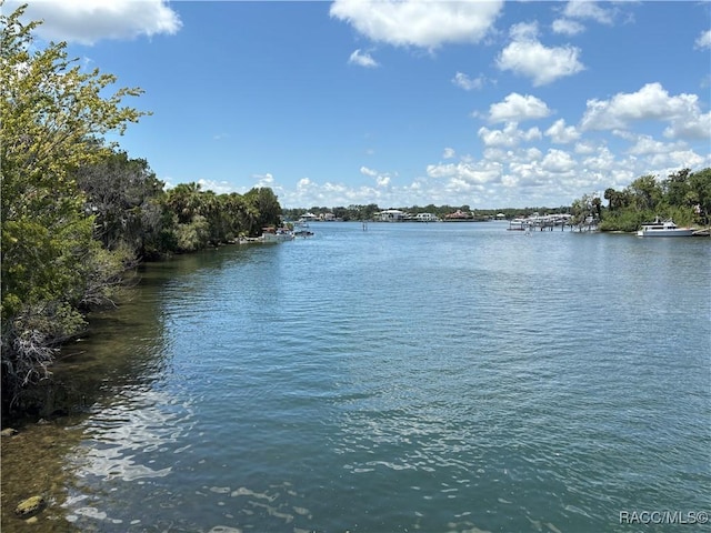 1637 SE Paradise Cir Unit 504, Crystal River, FL 34429 - photo 43