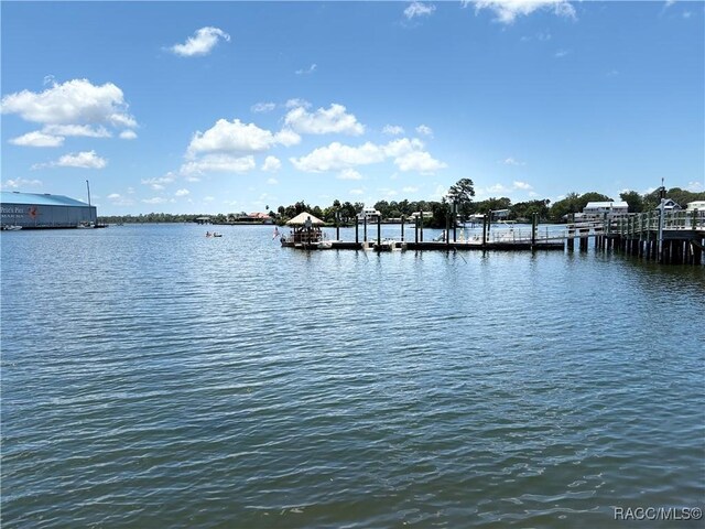 1637 SE Paradise Cir Unit 504, Crystal River, FL 34429 - photo 39