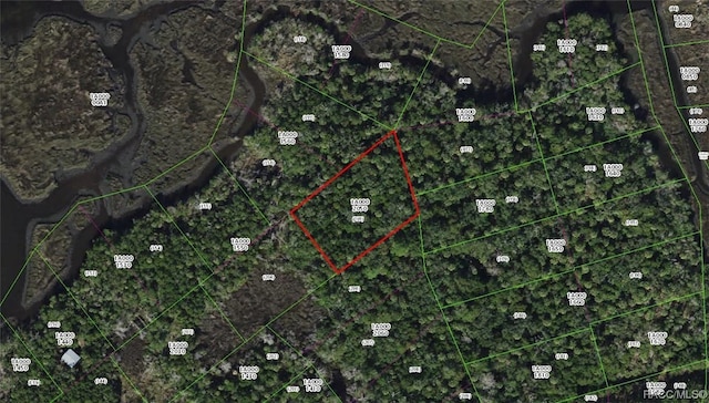 13469 Sportsmans Is, Homosassa, FL 34429 - photo 4