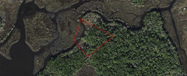 13469 Sportsmans Is, Homosassa, FL 34429 - photo 5