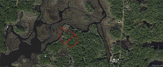 13469 Sportsmans Is, Homosassa, FL 34429 - photo 1