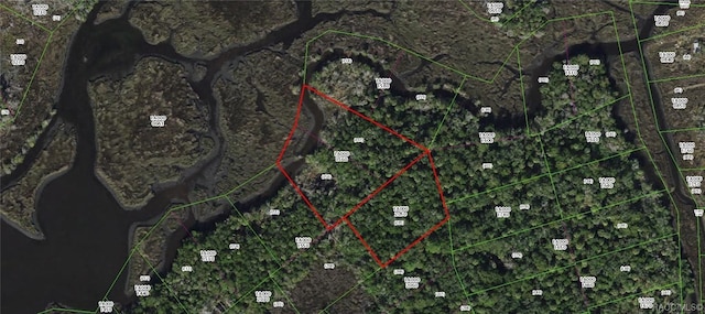 13469 Sportsmans Is, Homosassa, FL 34429 - photo 2