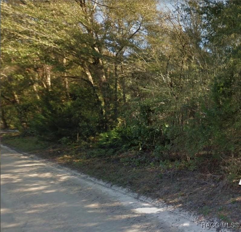 LOT52 NW 36th Ln, Bell, FL 32619