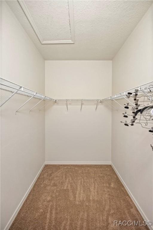 spacious closet with carpet