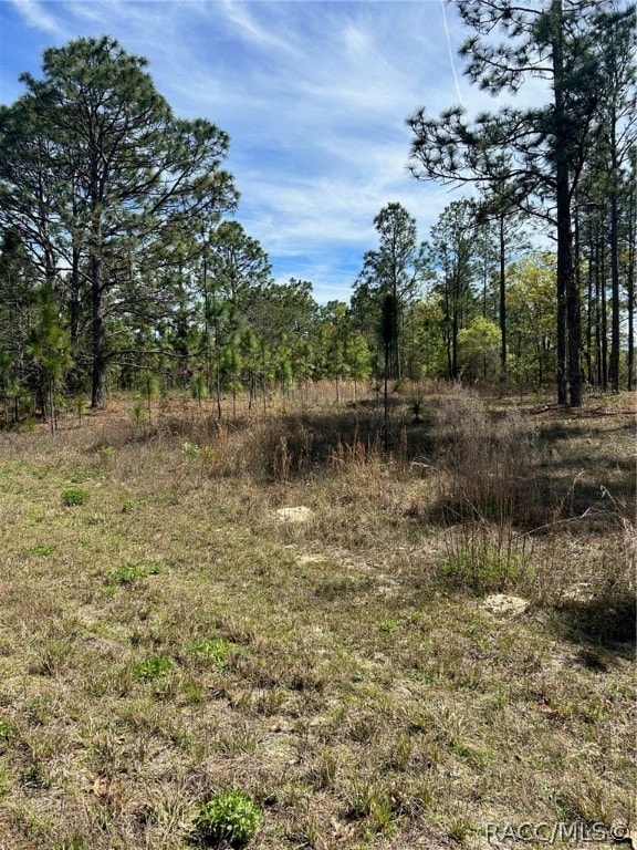 2032 W Corrine St, Dunnellon FL, 34434 land for sale