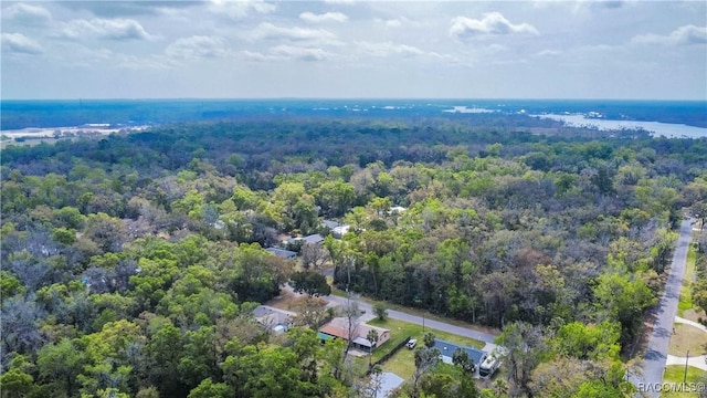 1561 NW 21st St, Crystal River, FL 34428 - photo 41