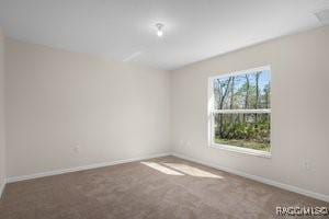 spare room with carpet floors