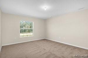 8233 N Creek Way, Citrus Springs, FL 34434 - photo 28