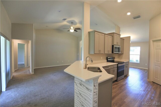 11609 SW 59th Ter, Ocala, FL 34476 - kitchen featuring stainless steel appliances, a sink, baseboards, a ceiling fan, and vaulted ceiling