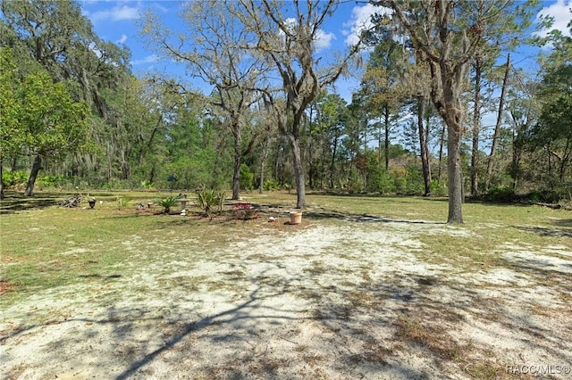 view of yard featuring a forest view