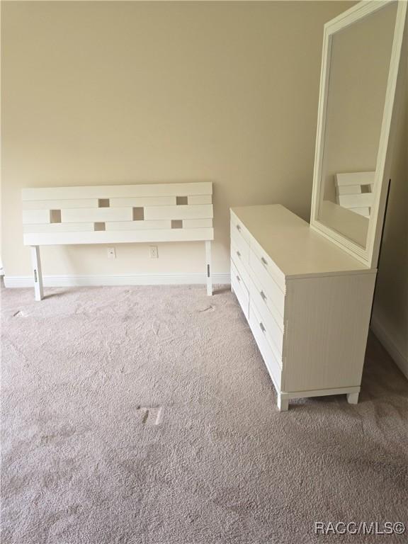 1366 N Bellamy Pt, Hernando, FL 34442 - interior details featuring baseboards and carpet