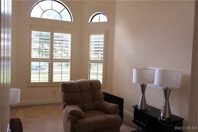 1366 N Bellamy Pt, Hernando, FL 34442 - sitting room featuring baseboards, carpet, and a healthy amount of sunlight