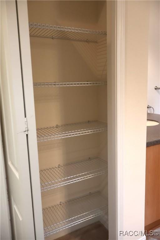 1366 N Bellamy Pt, Hernando, FL 34442 - closet featuring a sink