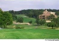1366 N Bellamy Pt, Hernando, FL 34442 - view of community featuring a lawn and golf course view