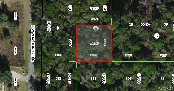 1012 E Mckinley St, Hernando, FL 34442 - photo 7