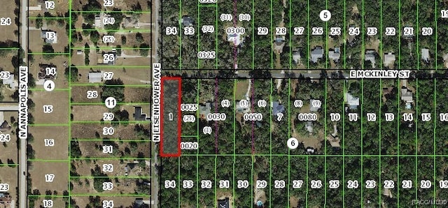 1012 E Mckinley St, Hernando, FL 34442 - photo 4