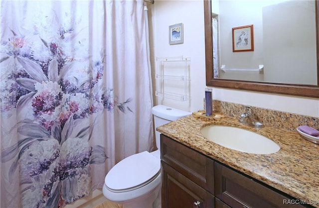 bathroom with toilet and vanity