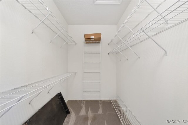 902 W Silver Meadow Loop, Hernando, FL 34442 - walk in closet with carpet flooring
