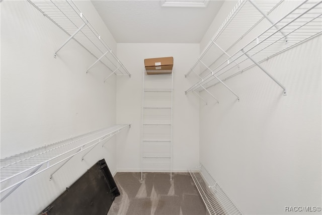 spacious closet featuring dark colored carpet