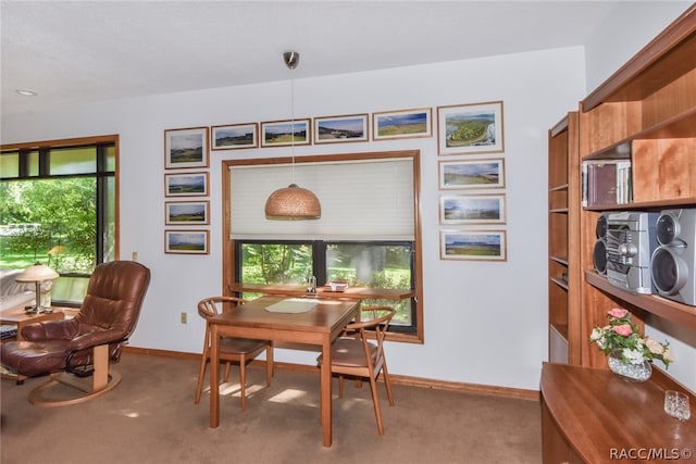 dining area with carpet flooring