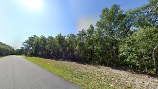 1258 E Ln Salle St, Hernando, FL 34442 - photo 2