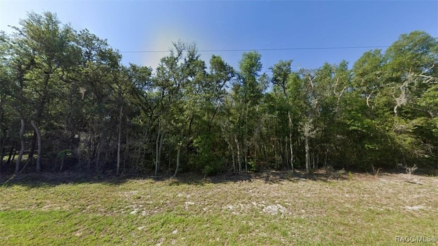 1258 E Ln Salle St, Hernando, FL 34442 - photo 1