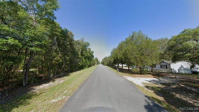 1258 E Ln Salle St, Hernando, FL 34442 - photo 3