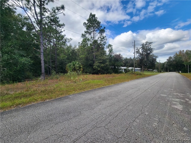 8630 N Catapane Loop, Crystal River FL, 34428 land for sale