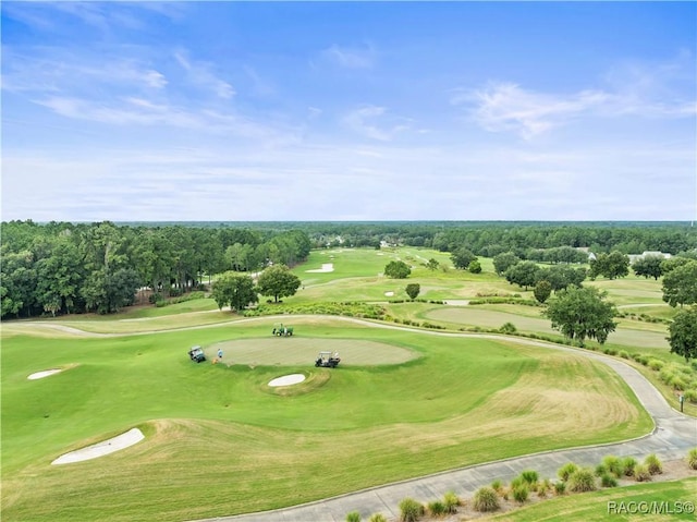 view of property's community with golf course view