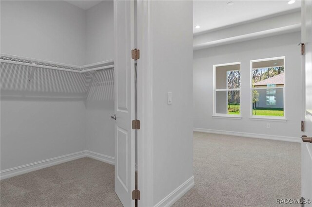 spacious closet with carpet floors