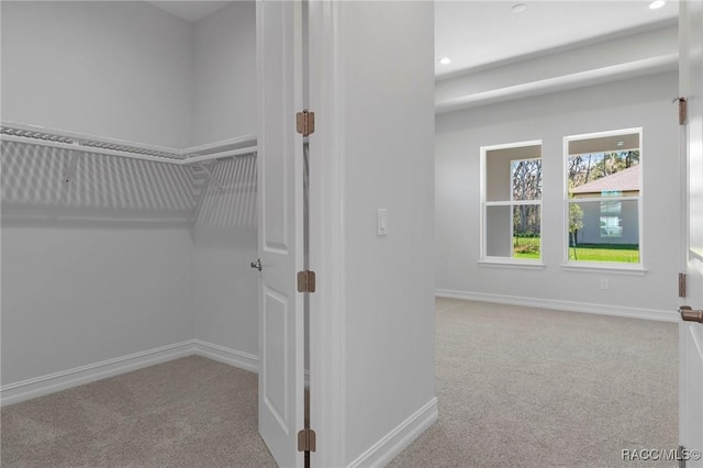 spacious closet featuring carpet floors