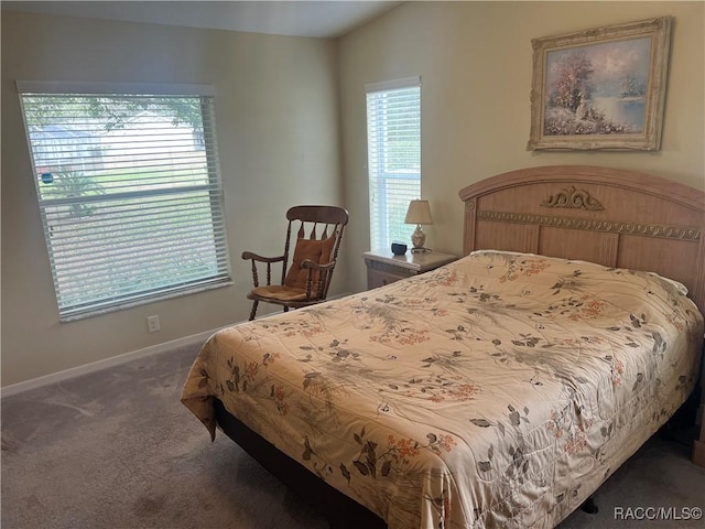 bedroom with dark carpet