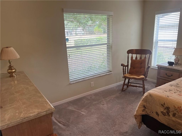 carpeted bedroom featuring multiple windows