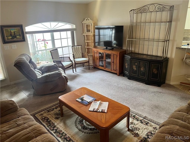 living room with carpet