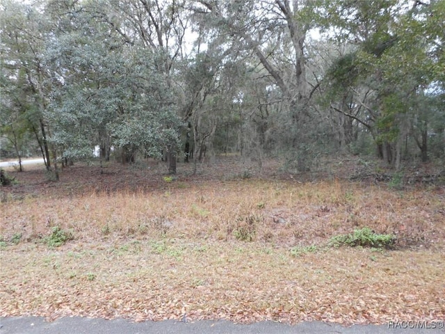 LOT15 SW Waterview, Dunnellon FL, 34431 land for sale