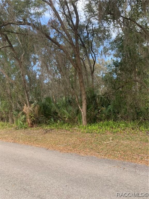 1541 NW 21st St, Crystal River, FL 34428