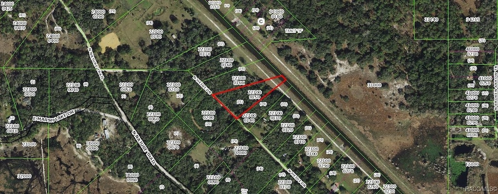6785 N Heidi Dr, Hernando, FL 34442