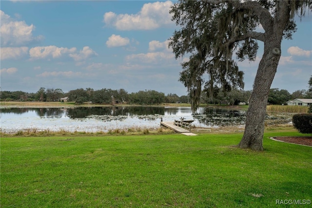 water view featuring a boat dock