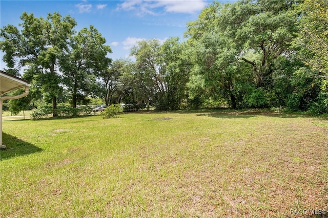 view of yard
