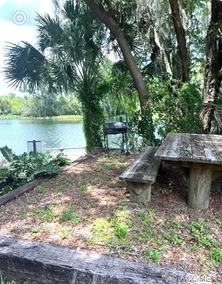 3734 W Riverview Ln, Dunnellon, FL 34433 - photo 7