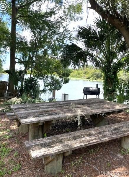 3734 W Riverview Ln, Dunnellon, FL 34433 - photo 4
